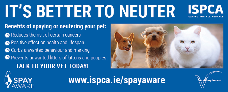 The ISPCA is urging pet owners to spay or neuter their pets as early as possible to reduce the high number of unwanted cats and dogs. The charity is asking the public to consider the positive benefits encouraging pet owners to talk to their vet as soon as possible.